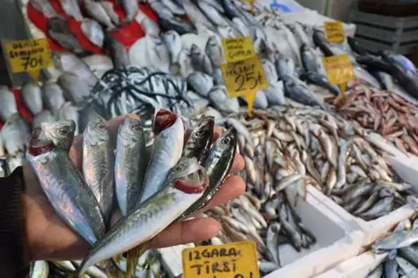 63c280c779da3e15c89b9d68