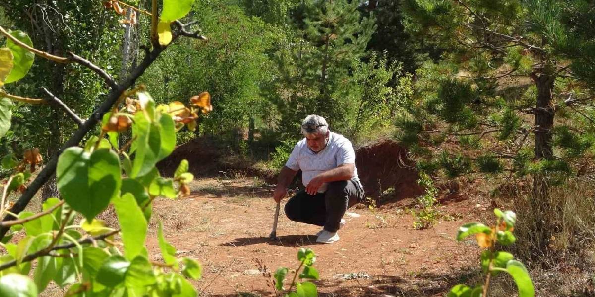 bayburtta-kehribar-1