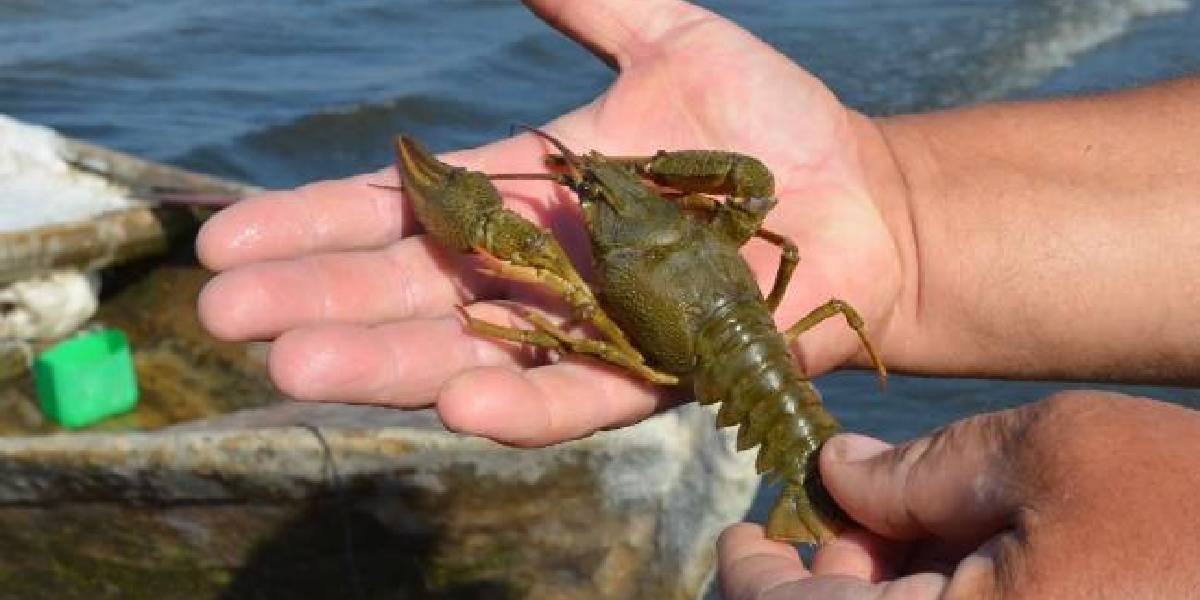 kutahyada-balikcilik-yapan-cift-3