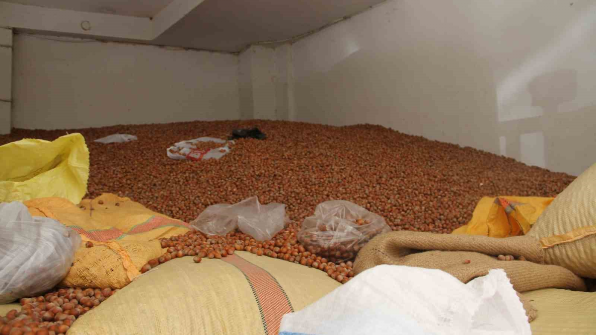 resim-2025-09-13-090553905