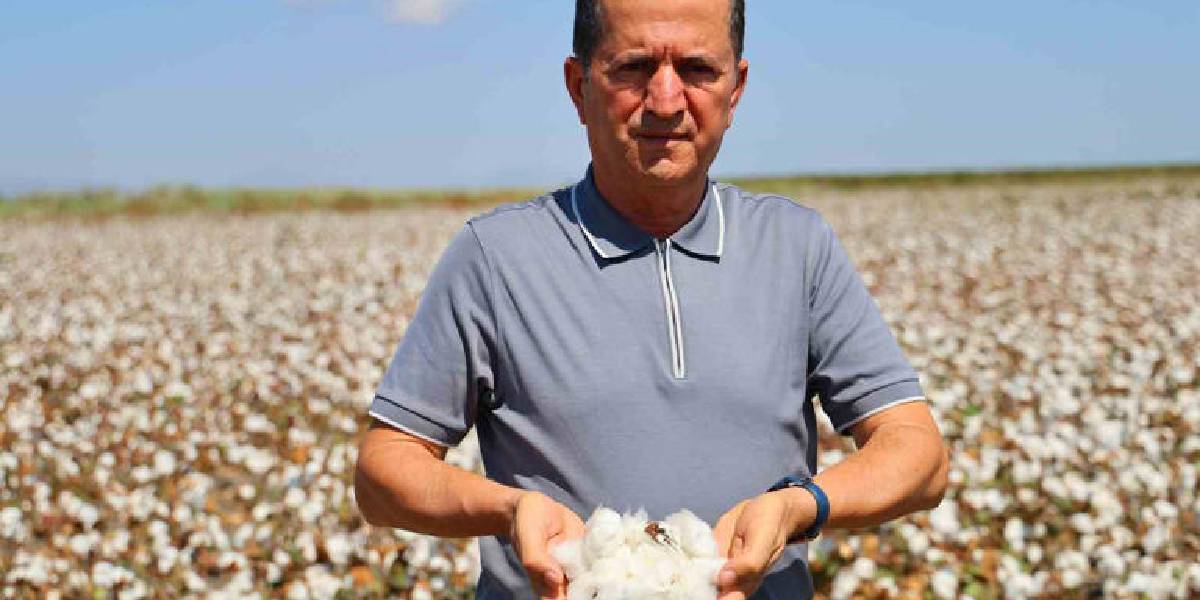 adanada-pamuk-hasadi-3