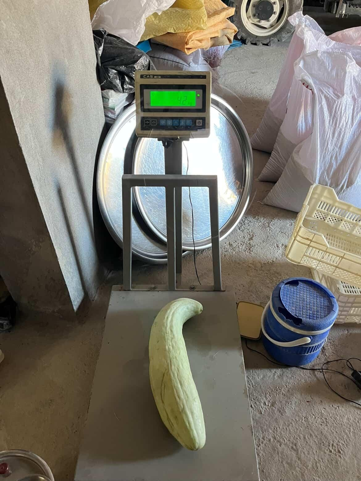 resim-2025-09-14-003233306