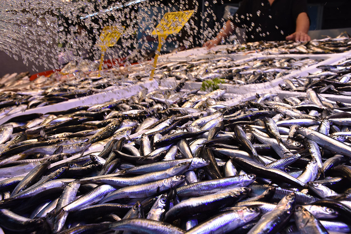 resim-2025-09-14-095943173