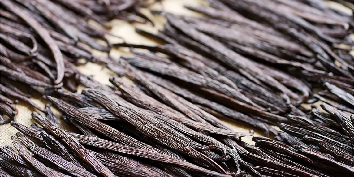 cubuk-vanilya-hasadi-2