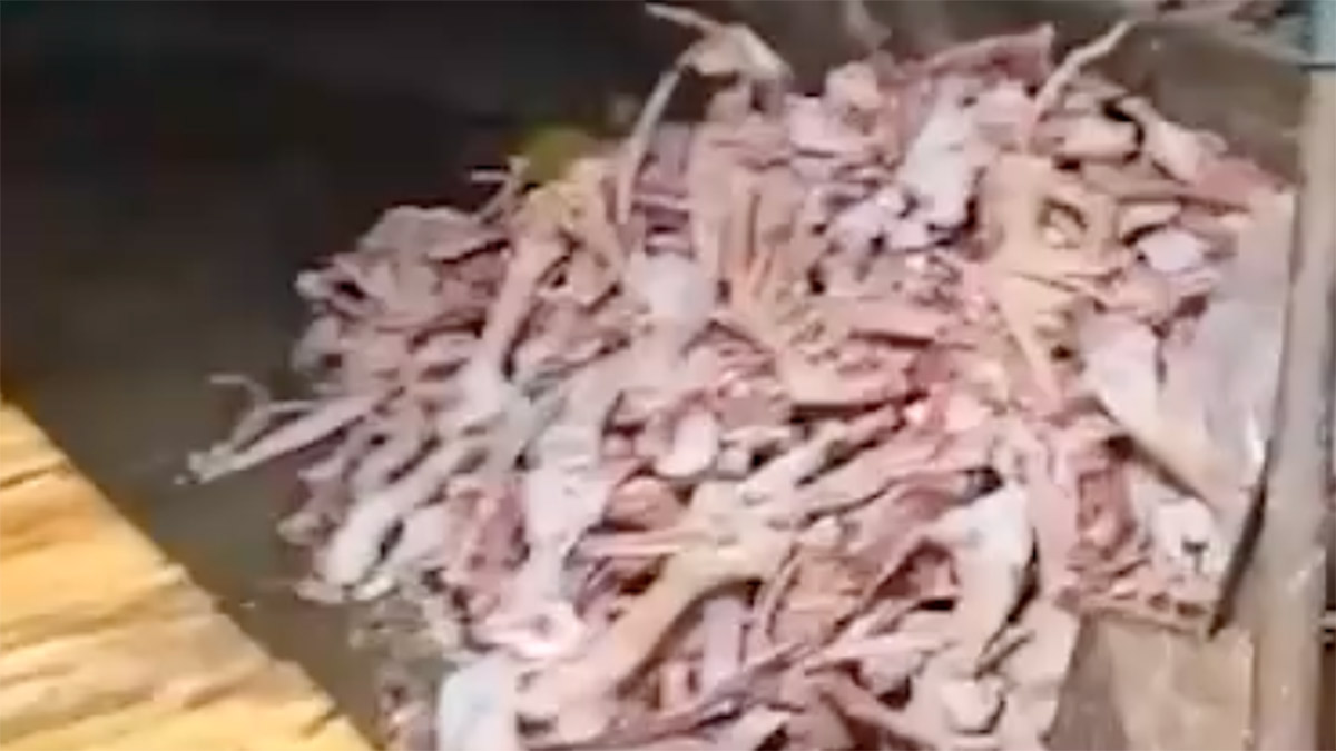 screenshot-at-sep-15-12-02-09