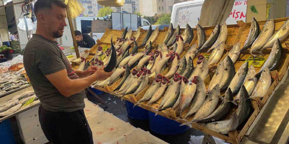 turkiyenin-en-onemli-protein-kaynagi-1