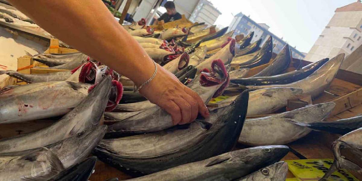 turkiyenin-en-onemli-protein-kaynagi-2