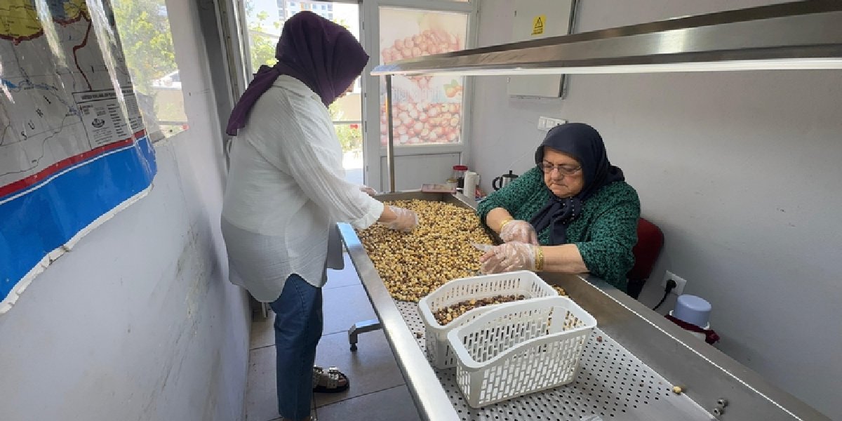 aysun-gundogdu-ordu-findigi
