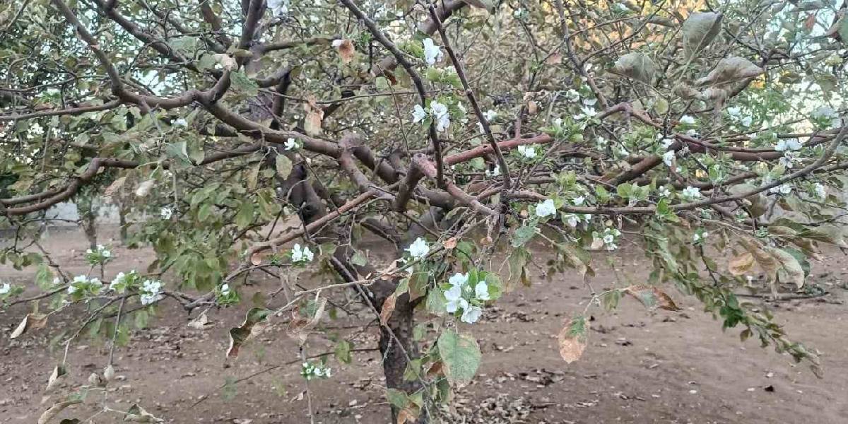 elazigda-sonbaharda-1