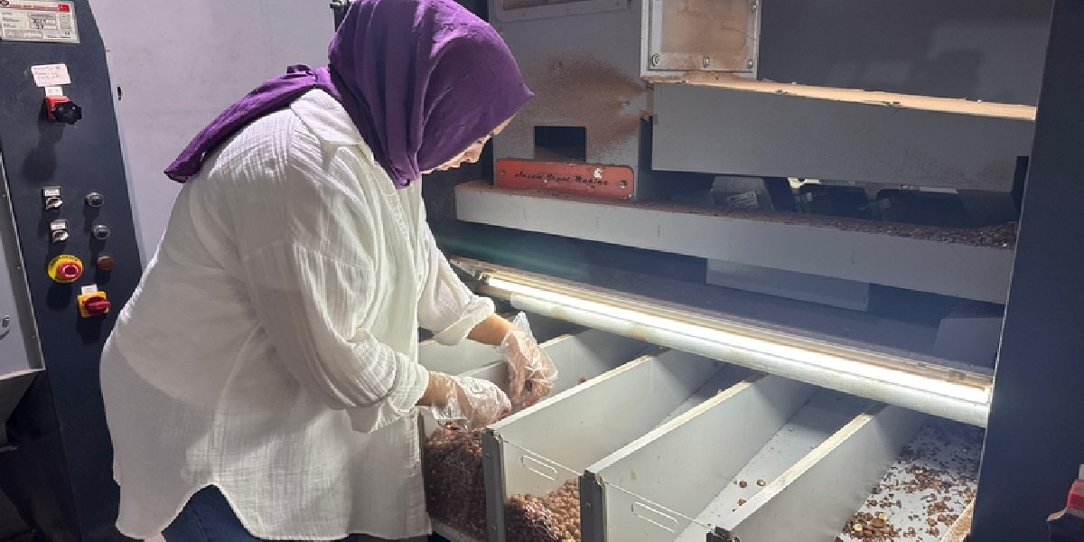 findik-aysun-gundogdu