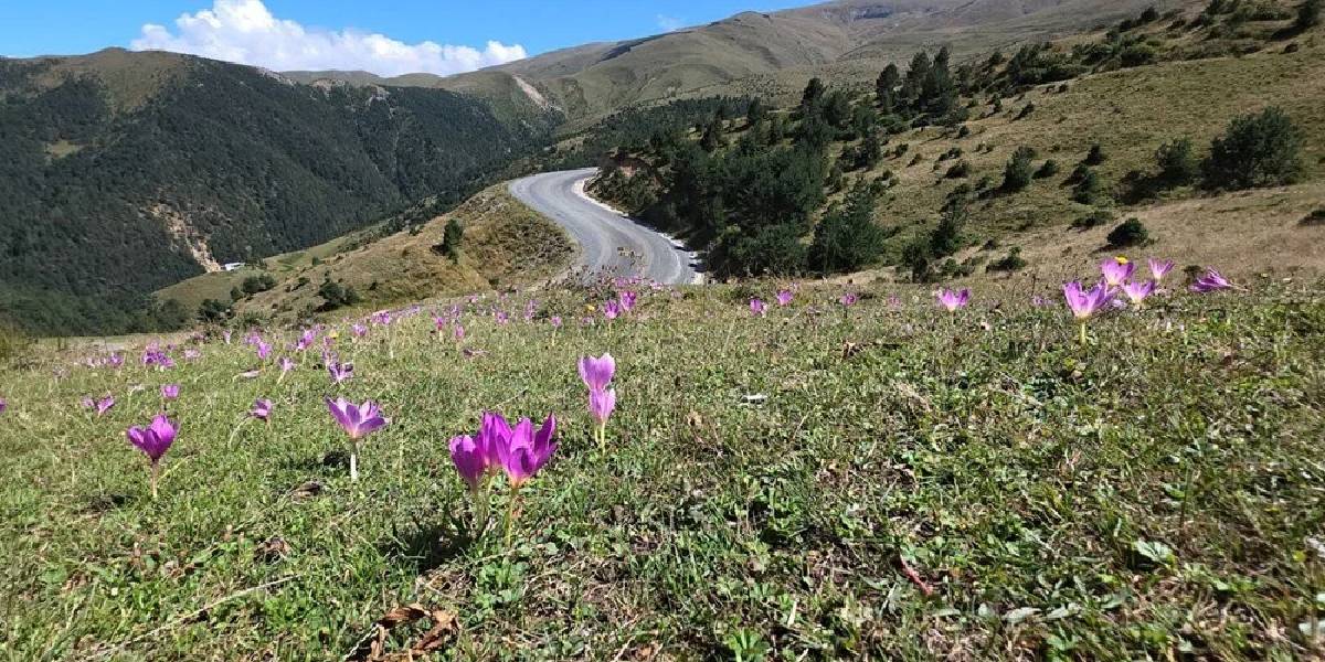 gumushanede-vargit-3