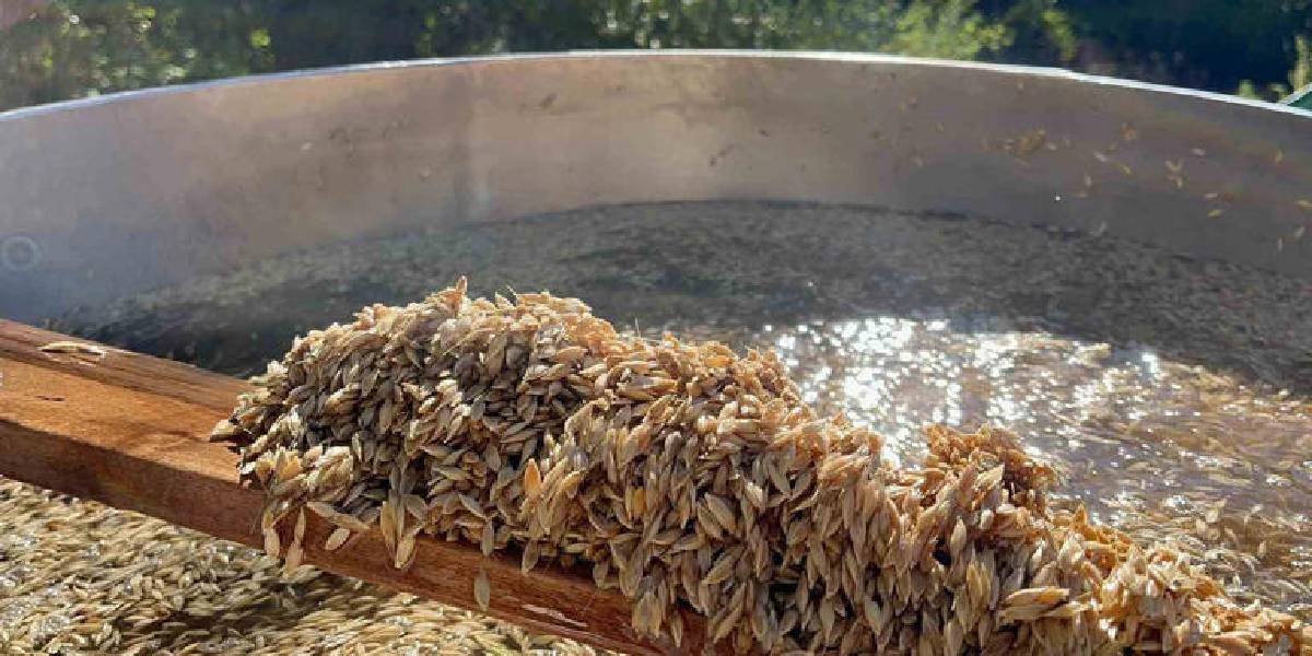 kastamonuda-siyez-mesaisi-1