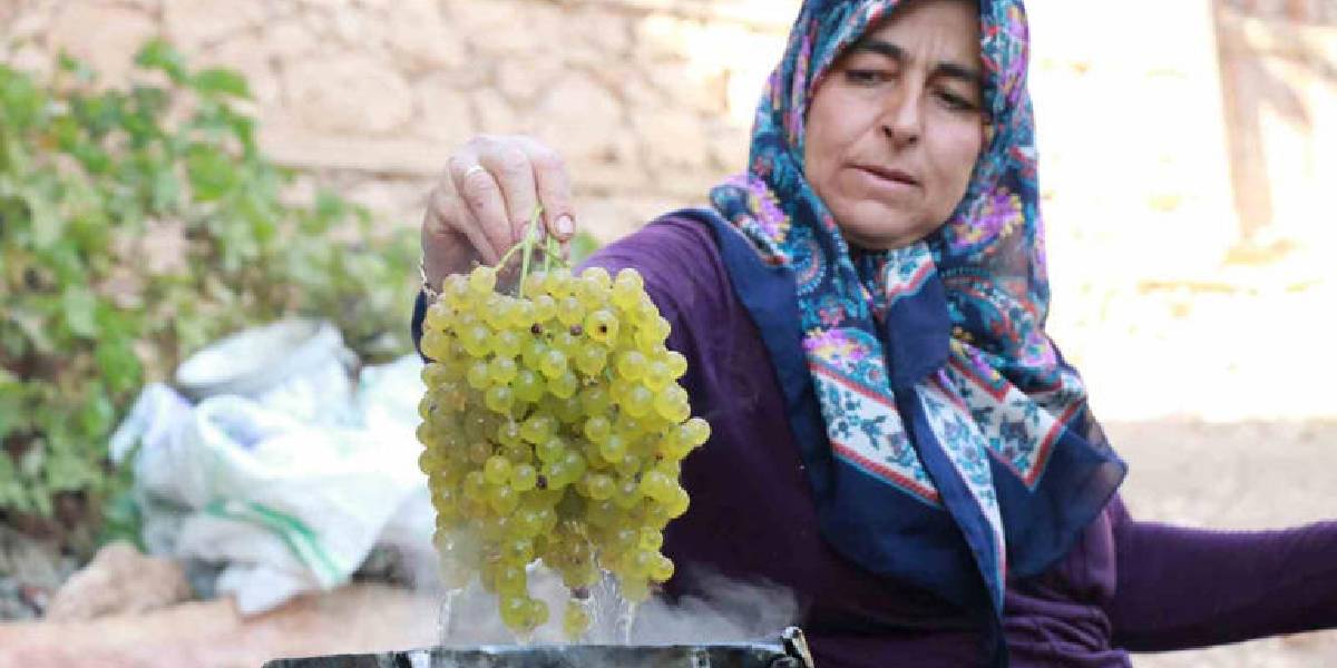 konyada-gok-uzum-hasadi-1