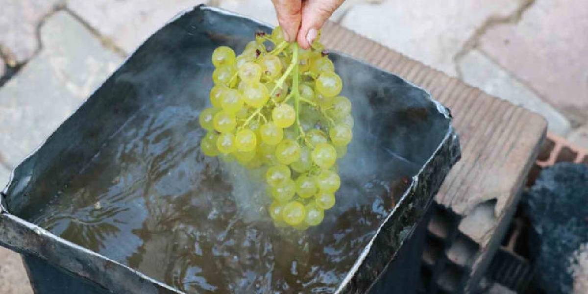 konyada-gok-uzum-hasadi-4