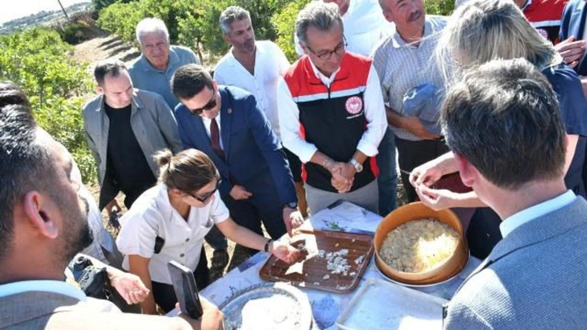 resim-2025-09-17-201449623