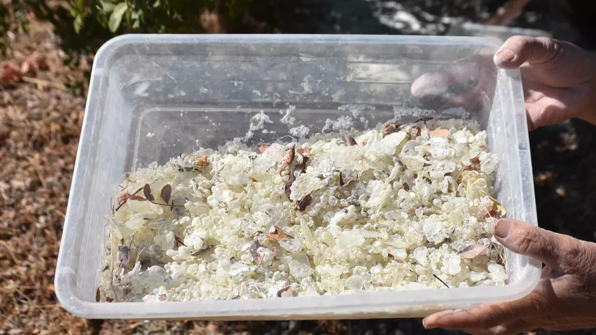 resim-2025-09-17-201507300