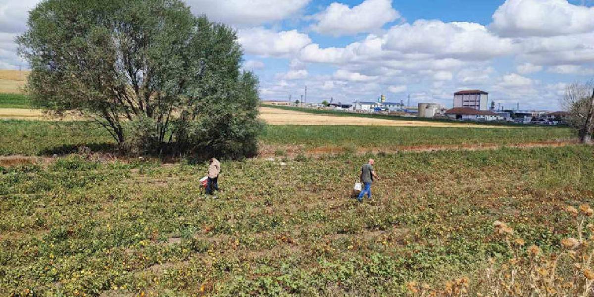 yozgatta-universite-ogrencisi-2