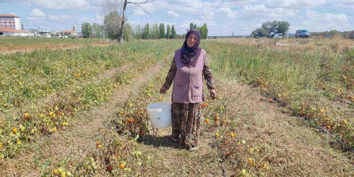 yozgatta-universite-ogrencisi-3