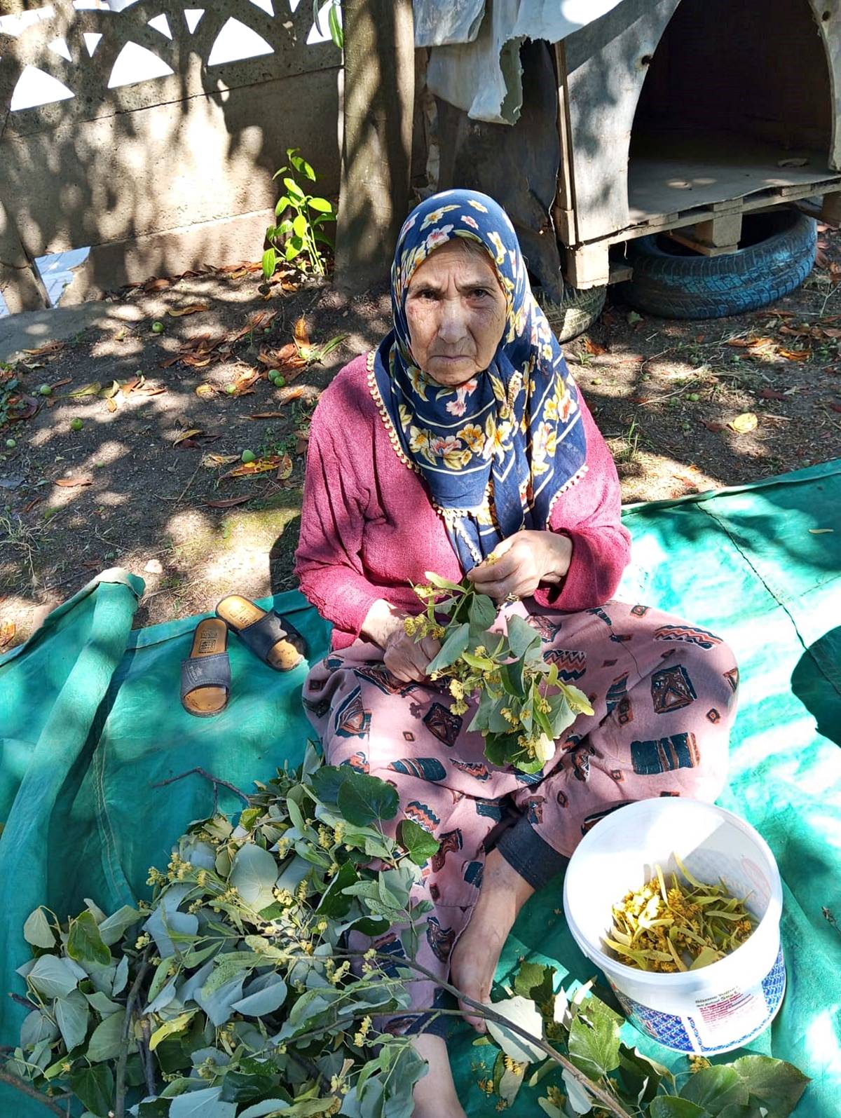 duzce-kayip-kadin-ilani-ayse-battal-1