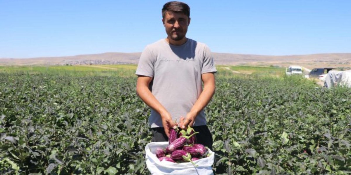 kayseri-yamula-patlican