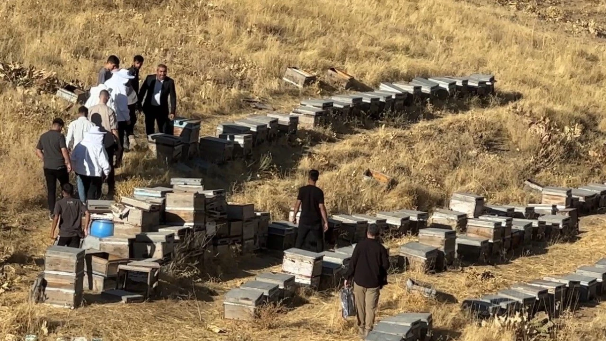 resim-2025-09-18-002032119