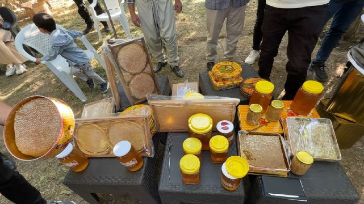 resim-2025-09-18-002204559