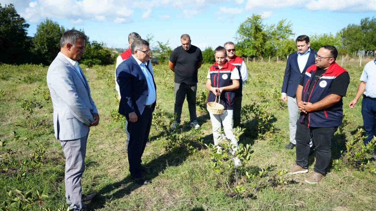 resim-2025-09-18-135543471