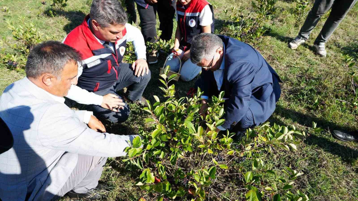 resim-2025-09-18-140258595