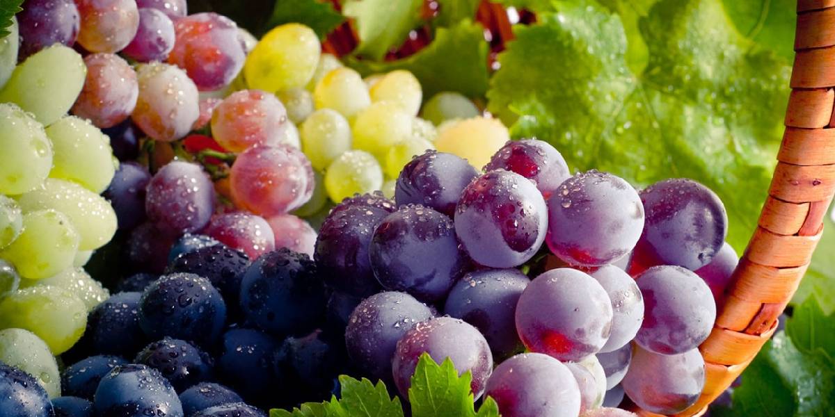 uyku-oncesi-uzum-yemek-1