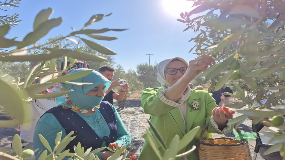 resim-2025-09-20-144604142