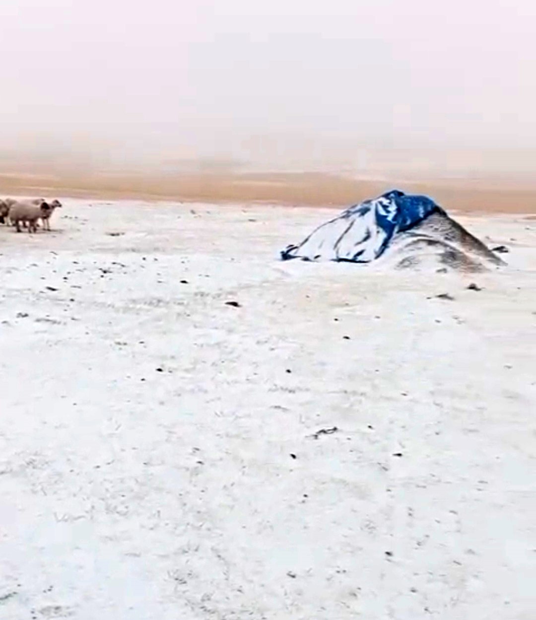 20250920aw541911-0-1