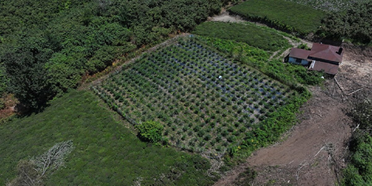 mehmet-uzunboy-arazi