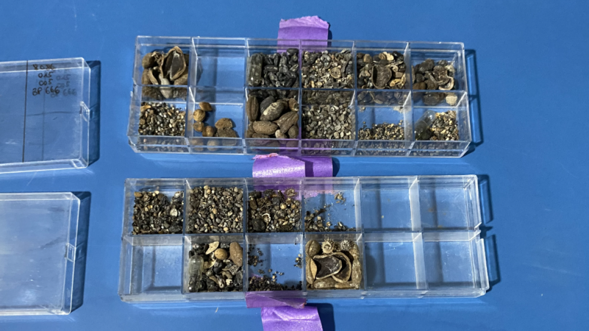 resim-2025-09-21-100306640