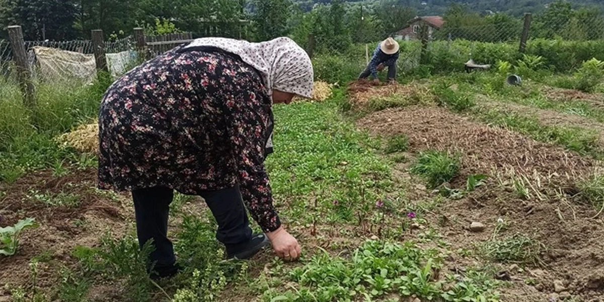 sukran-ve-musa-abali-salep