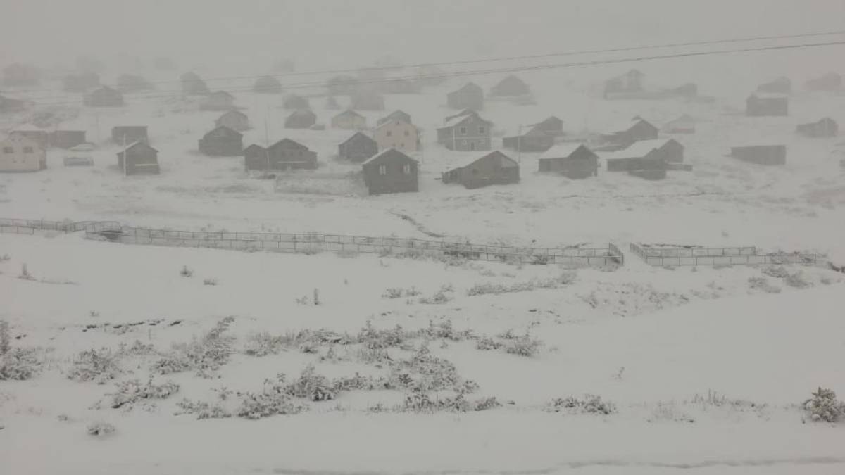 whatsapp-image-2025-09-21-at-12-55-11