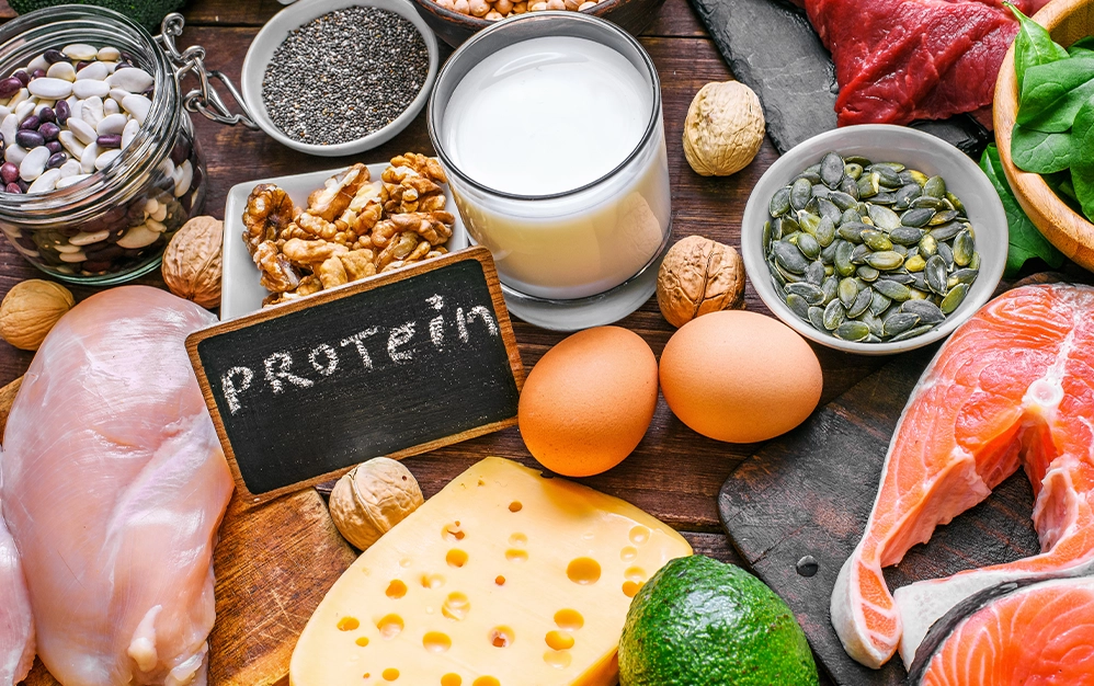 8ls3589cc-proteinicerenbesinler