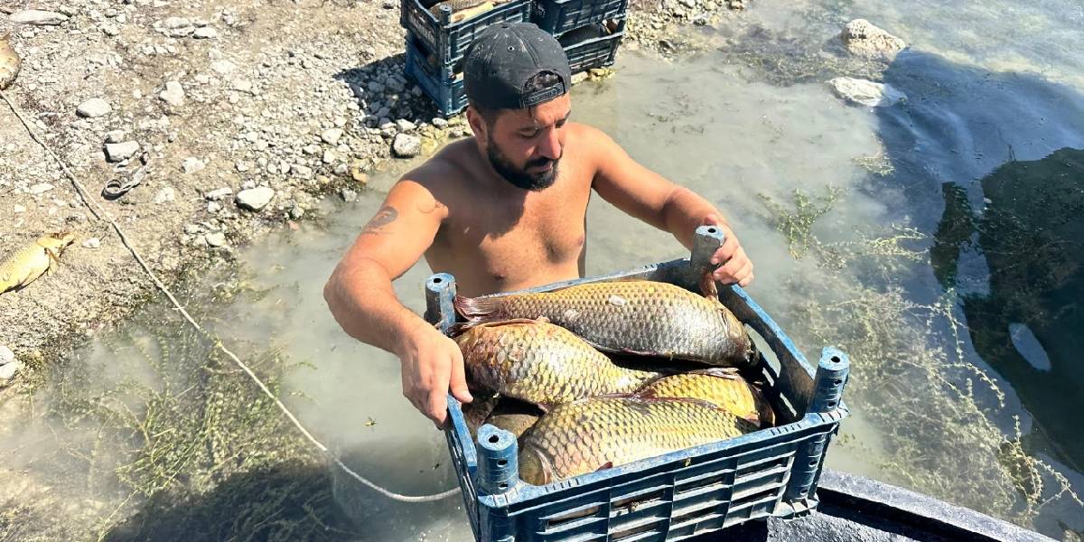 tuncelide-balikcilik