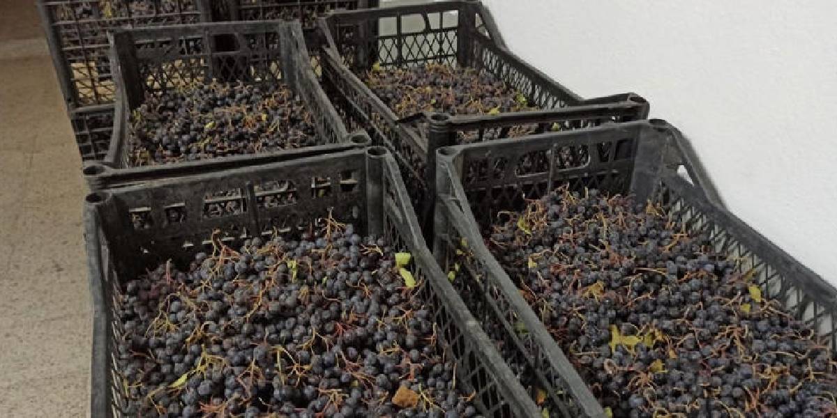 zonguldakta-aronyadan-1