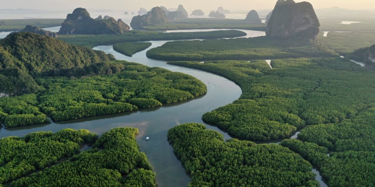 amazon-nehir-plajlari-guney-amerika