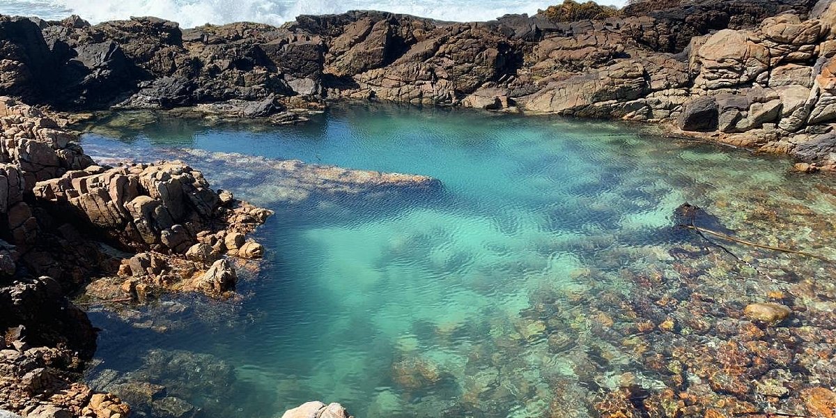 gansbaai-guney-afrika