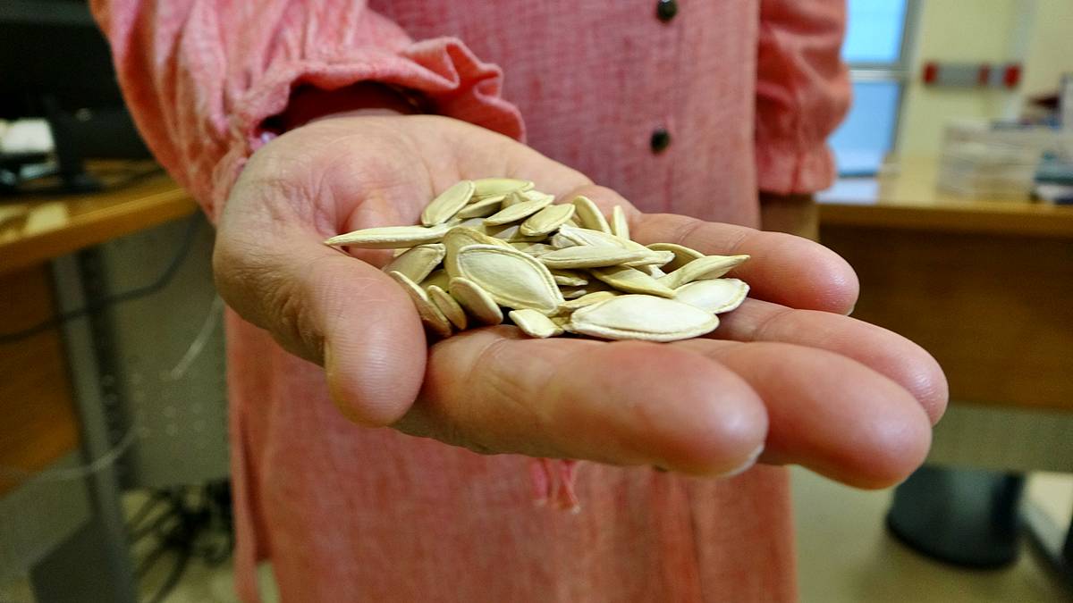 kansersin-astimsin-dediler-akcigerinden-kabak-cekirdegi-cikti-3