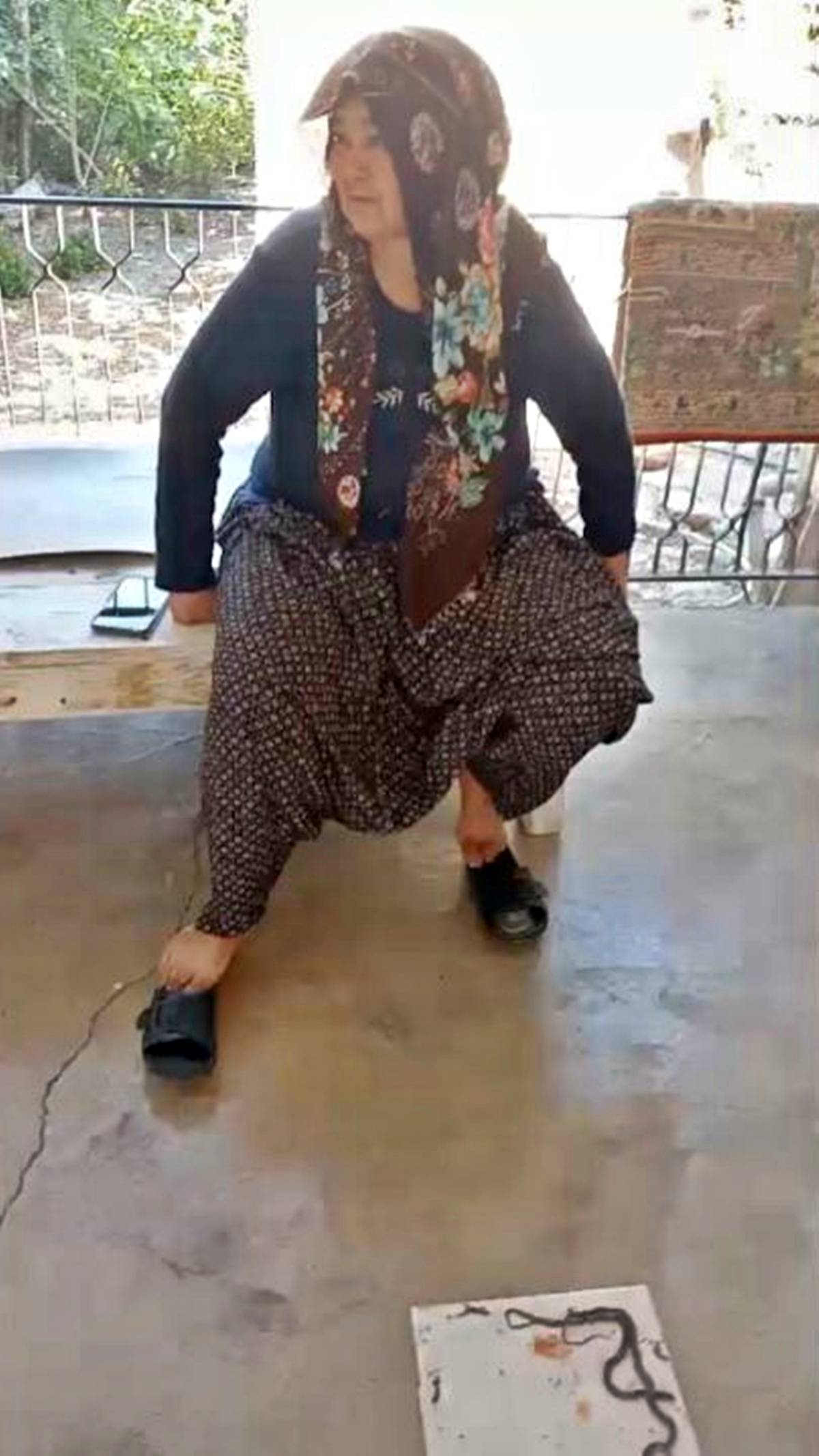 yilanlar-gelmemesi-icin-ne-yapmali-yilan-nasil-kovulur-1