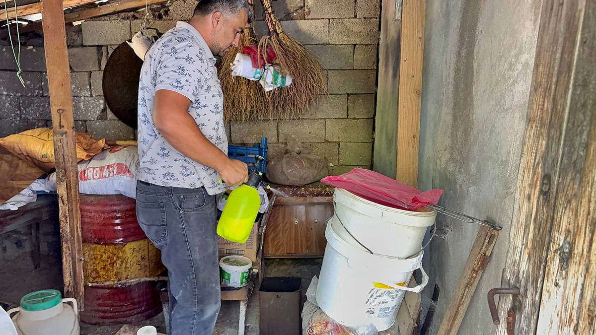 yilanlar-gelmemesi-icin-ne-yapmali-yilan-nasil-kovulur-3