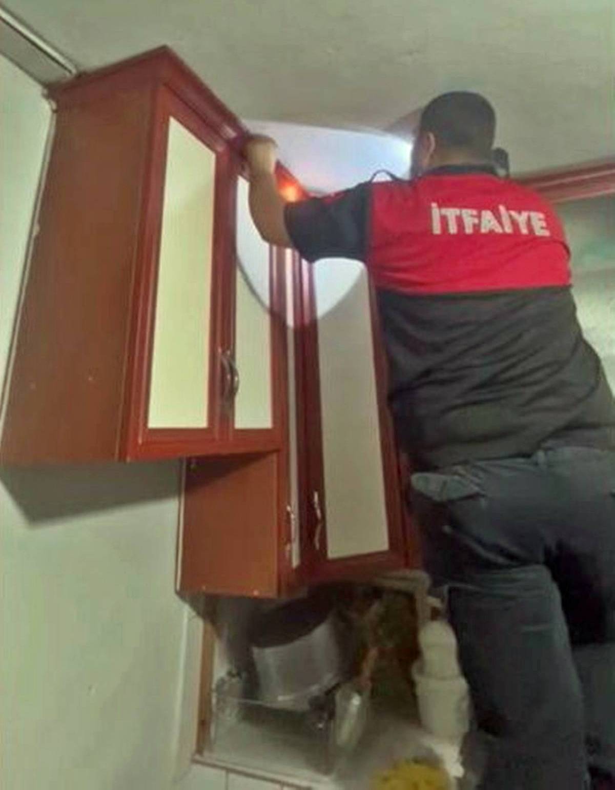 yilanlar-gelmemesi-icin-ne-yapmali-yilan-nasil-kovulur-7