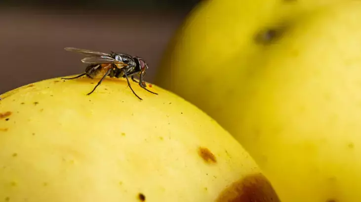 655dfe9886b2471df023c5a0