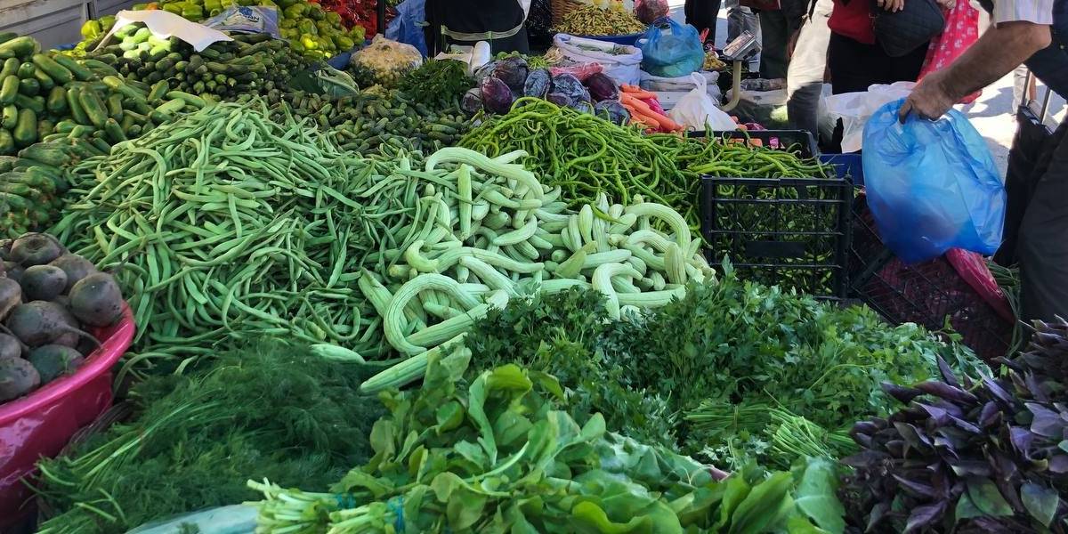 erzincanda-tursuluk-sebzeler-1