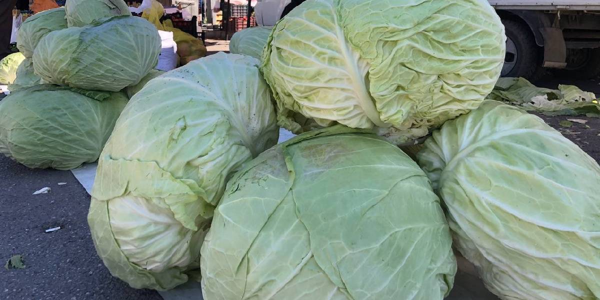 erzincanda-tursuluk-sebzeler-2