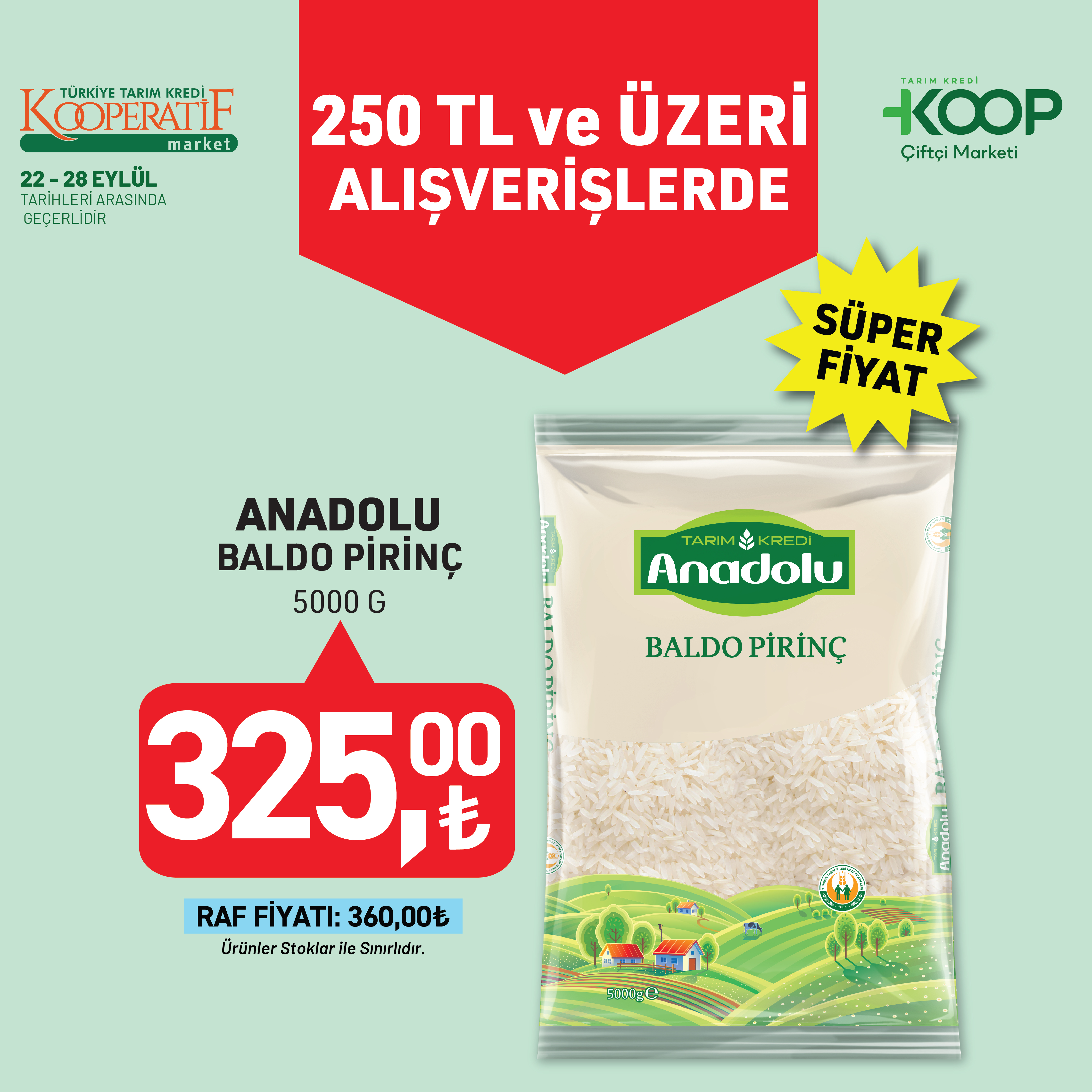 22-28-eylu-l-baldo-pi-ri-nc-sosyal-medya-01-3290