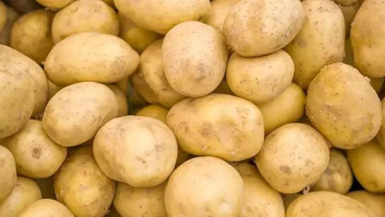 66d82179497c7580eecace57