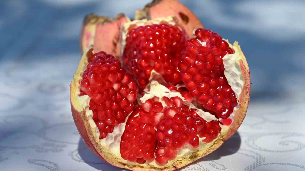 resim-2025-09-26-134242141